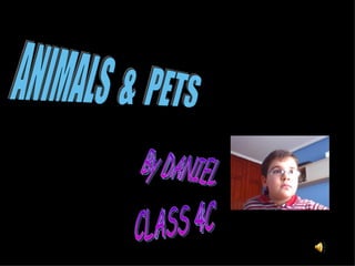 ANIMALS  &  PETS By DANIEL CLASS 4C 