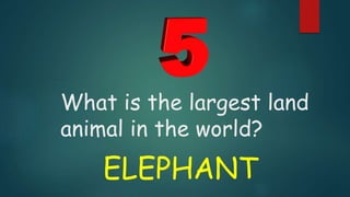 What is the largest land
animal in the world?
ELEPHANT
 
