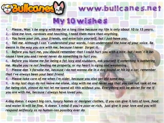 www.bullcanes.net
                               My 10 wishes
1. – Please, Won´t be angry with me for a long time because my life is only about 10 to 15 years.
2. - Give me love, caresses and teaching, I need them more than anything.
3. - You have your job, your friends, and entertain yourself, but I just have you.
4. - Tell me. Although I can´t understand your words, I can understand the tone of your voice. Be
aware in the way you are with me, because I never forget it.
5. – Before you hurt me, you should remember that I could hurt you with a bite, but I won´t it be-
cause I love you and I never never do something to hurt you.
6. - Before you blame me for being a fat lazy and stubborn, ask yourself if something is bothering
me. Maybe you're not feeding me properly, or my heart is aging and weakening.
7. - Please don´t forsake me, because I do not wanna die in a dog pound or hit by a car, remember
that I've always been your best friend
8. - Please take care of me when I'm older, because you also get old some day.
9. - In my last days do not leave me alone, stay with me and never say that you can not look at me
for being sick, please do not let me spend all this without you. Everything will be easier for me if
you are with me, because I always have loved you.

A dog doesn´t expect big cars, luxury homes or designer clothes, if you can give it lots of love, food
and water it will be fine, it doesn´t mind if you're poor or rich, just give it your love and you will
respond selflessly as no human can possibly ever do
 