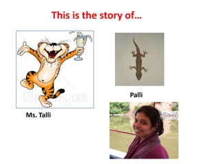 This is the story of…PalliMs. Talli