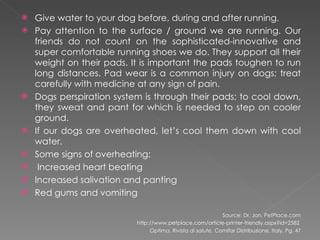 Give water to your dog before, during and after running. Pay attention to the surface / ground we are running. Our friends do not count on the sophisticated-innovative and super comfortable running shoes we do. They support all their weight on their pads. It is important the pads toughen to run long distances. Pad wear is a common injury on dogs; treat carefully with medicine at any sign of pain. Dogs perspiration system is through their pads; to cool down, they sweat and pant for which is needed to step on cooler ground. If our dogs are overheated, let’s cool them down with cool water.  Some signs of overheating: Increased heart beating Increased salivation and panting Red gums and vomiting Source: Dr. Jon. PetPlace.com http://www.petplace.com/article-printer-friendly.aspx?id=2582  Optima. Rivista di salute.  Comifar Distribuzione, Italy. Pg. 47 