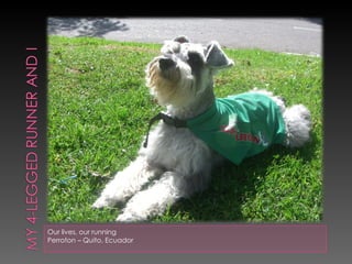 Our lives, our running Perroton – Quito, Ecuador 