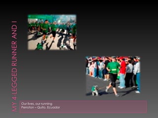 Our lives, our running Perroton – Quito, Ecuador 