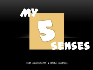 My 5 Senses Third Grade Science  ●  Rachel Sundelius 