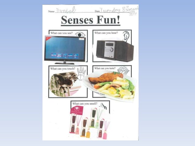 My 5 senses | PPSX