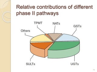 Relative contributions of different
phase II pathways
18
 