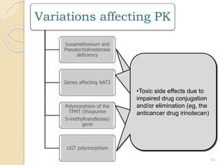 Variations affecting PK
Suxamethonium and
Pseudocholinesterase
deficiency
Genes affecting NAT2
Polymorphism of the
TPMT (thiopurine
S-methyltransferase)
gene
UGT polymorphism
•Due to mutation, there is
formation of abnormal
cholinesterase.
•The individuals fail to
inactivate Suxamethonium
rapidly and experience
prolonged neuro- muscular
blockade.
•Frequency: 1/3000
19
•Rate of drug acetylation
varied in different
population as a result of
balanced polymorphism.
•Acetylation by N
acetyltransferase (NAT 2)
enzyme
•Slow acetylators:
peripheral neuropathy
•Fast acetylators:
Hepatotoxicity (wrt
Isoniazid)
•AR trait
•Rapidly degraded mutant
enzyme and consequently
deficient S -methylation of
6-MP, thioguanine, and
azathioprine, required for
their detoxification.
•High risk of thiopurine
drug-induced fatal
hematopoietic toxicity.
•Toxic side effects due to
impaired drug conjugation
and/or elimination (eg, the
anticancer drug irinotecan)
 