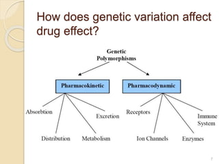 How does genetic variation affect
drug effect?
7
 