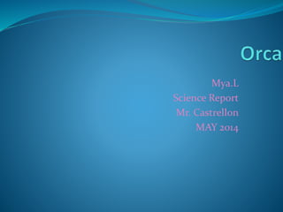Mya.L
Science Report
Mr. Castrellon
MAY 2014
 