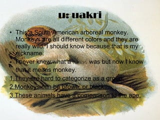 u: uakri This a South American arboreal monkey. Monkeys are all different colors and they are really wild. I should know because that is my nickname. I never knew what a  uakri  was but now I know that it means monkey. 1.They are hard to categorize as a group. 2.Monkeys can be brown, or black. 3.These animals have a comparison to the ape. 