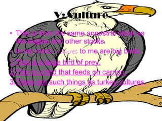 V: vulture This is from the same ancestral stock as the eagles and other stocks.  In my mind  vultures  to me are big birds. 1.This is a large bird of prey. 2.This is a bird that feeds on carrion. 3.There are such things as turkey vultures. 