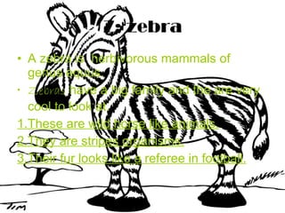 Z: zebra A zebra is  herbivorous mammals of genus equus.  Zebras  have a big family and the are very cool to look at. 1.These are wild horse like animals. 2.They are stripes organisms. 3.Their fur looks like a referee in football. 