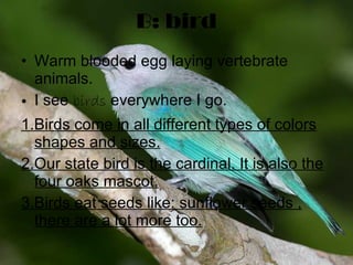 B: bird Warm blooded egg laying vertebrate animals. I see  birds  everywhere I go. 1.Birds come in all different types of colors shapes and sizes. 2.Our state bird is the cardinal. It is also the four oaks mascot. 3.Birds eat seeds like: sunflower seeds , there are a lot more too. 
