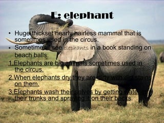 E: elephant Huge thickset nearly hairless mammal that is sometimes used in the circus. Sometimes I see  elephants  in a book standing on beach balls. 1.Elephants are big animals sometimes used in the circus. 2.When elephants dry they are dirty with dirt stains on them. 3.Elephants wash their selves by getting water in their trunks and spraying it on their backs . 