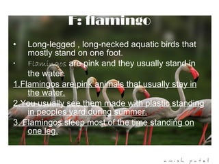 F: flamingo Long-legged , long-necked aquatic birds that mostly stand on one foot. Flamingos  are pink and they usually stand in the water. 1.Flamingos are pink animals that usually stay in the water. 2.You usually see them made with plastic standing in peoples yard during summer. 3. Flamingos sleep most of the time standing on one leg. 