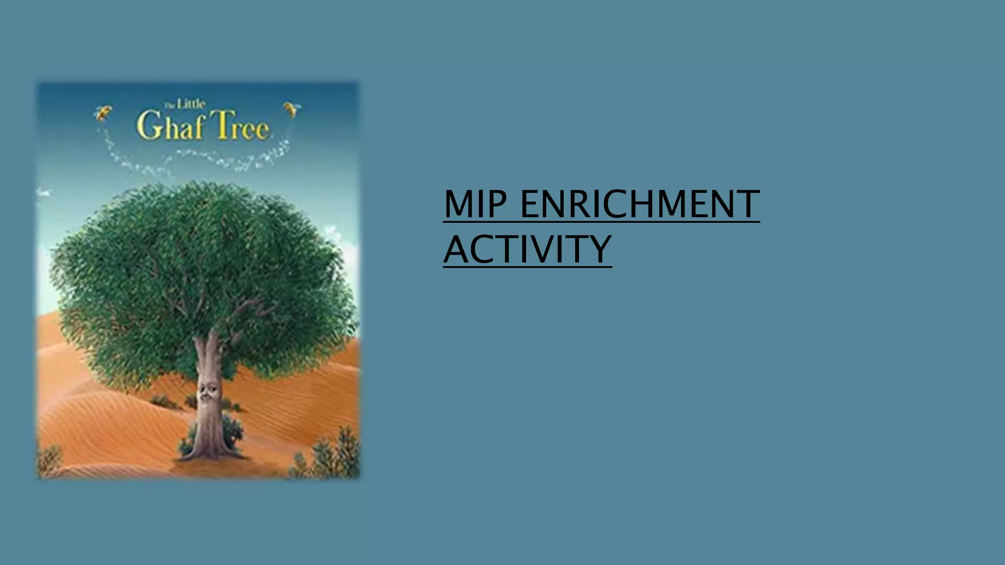 MIP ENRICHMENT
ACTIVITY
 