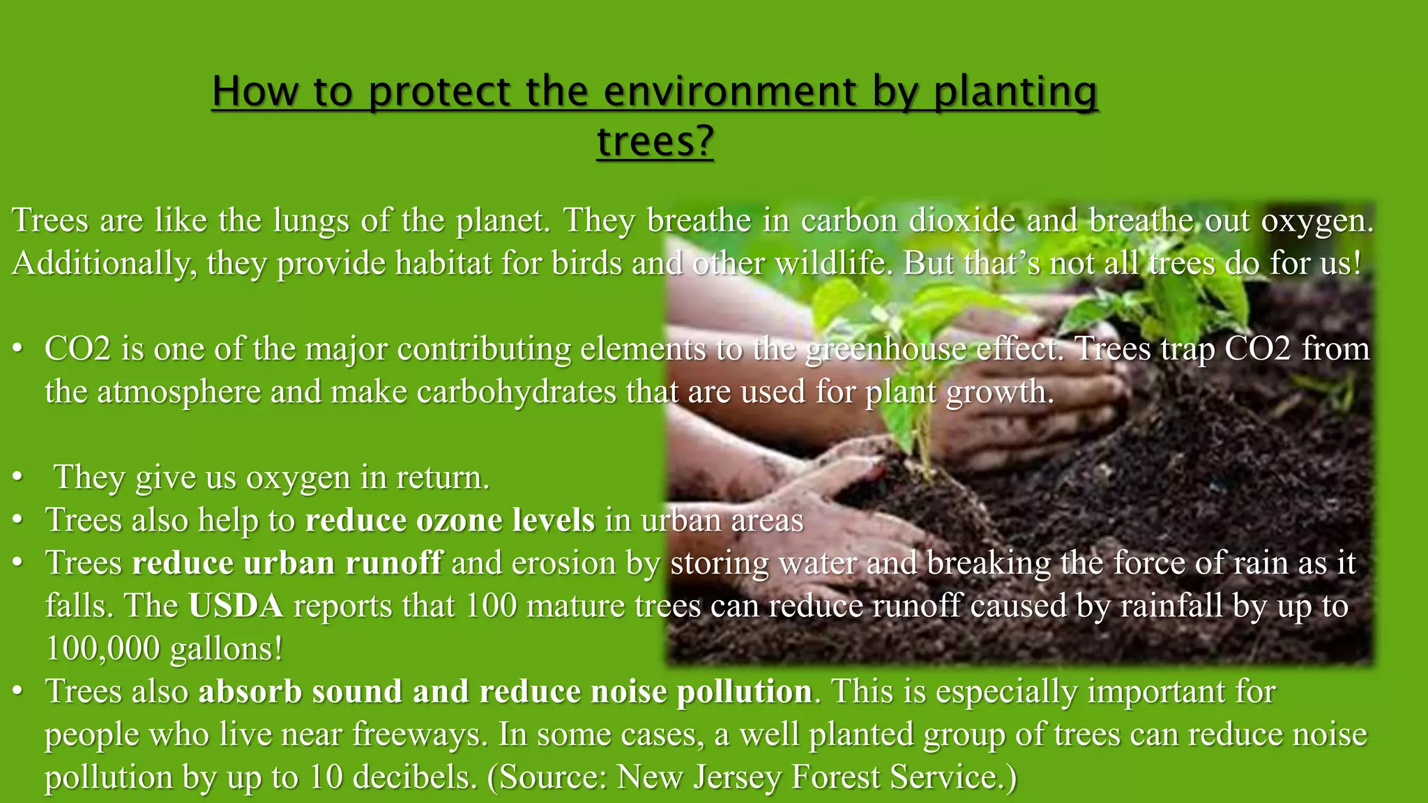How to protect the environment by planting
trees?
Trees are like the lungs of the planet. They breathe in carbon dioxide and breathe out oxygen.
Additionally, they provide habitat for birds and other wildlife. But that’s not all trees do for us!
• CO2 is one of the major contributing elements to the greenhouse effect. Trees trap CO2 from
the atmosphere and make carbohydrates that are used for plant growth.
• They give us oxygen in return.
• Trees also help to reduce ozone levels in urban areas
• Trees reduce urban runoff and erosion by storing water and breaking the force of rain as it
falls. The USDA reports that 100 mature trees can reduce runoff caused by rainfall by up to
100,000 gallons!
• Trees also absorb sound and reduce noise pollution. This is especially important for
people who live near freeways. In some cases, a well planted group of trees can reduce noise
pollution by up to 10 decibels. (Source: New Jersey Forest Service.)
 