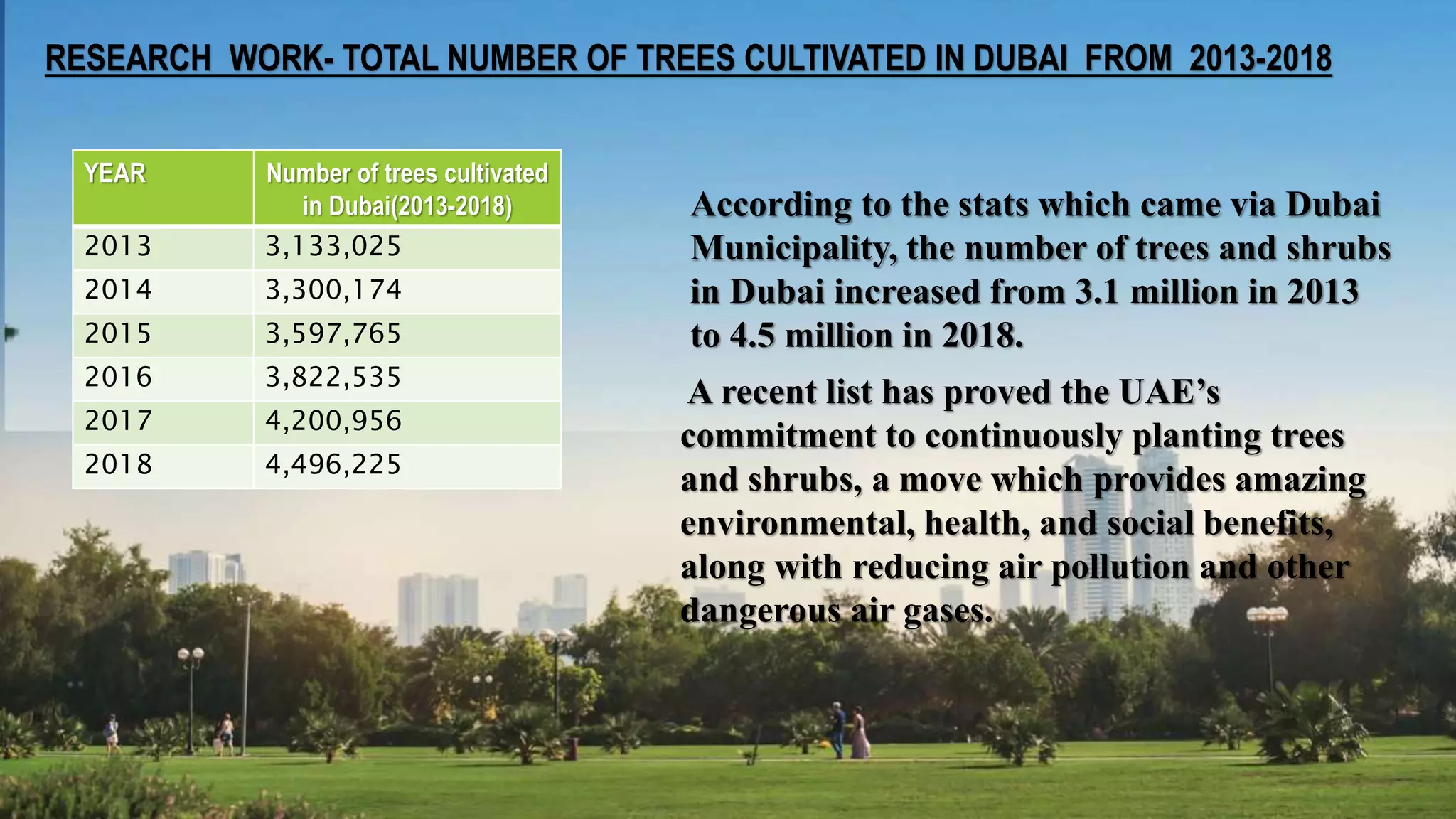 RESEARCH WORK- TOTAL NUMBER OF TREES CULTIVATED IN DUBAI FROM 2013-2018
YEAR Number of trees cultivated
in Dubai(2013-2018)
2013 3,133,025
2014 3,300,174
2015 3,597,765
2016 3,822,535
2017 4,200,956
2018 4,496,225
According to the stats which came via Dubai
Municipality, the number of trees and shrubs
in Dubai increased from 3.1 million in 2013
to 4.5 million in 2018.
A recent list has proved the UAE’s
commitment to continuously planting trees
and shrubs, a move which provides amazing
environmental, health, and social benefits,
along with reducing air pollution and other
dangerous air gases.
 