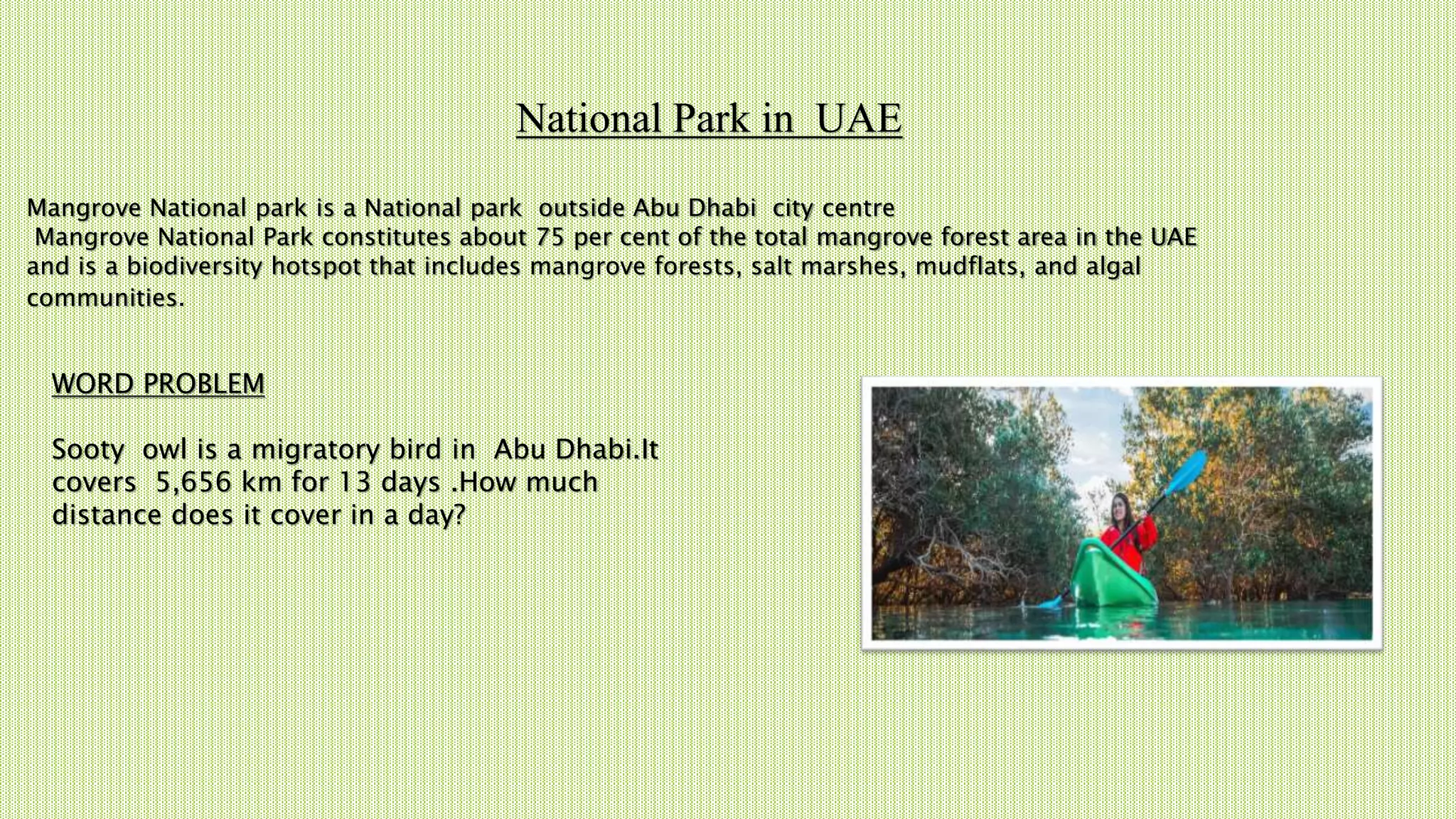 National Park in UAE
Mangrove National park is a National park outside Abu Dhabi city centre
Mangrove National Park constitutes about 75 per cent of the total mangrove forest area in the UAE
and is a biodiversity hotspot that includes mangrove forests, salt marshes, mudflats, and algal
communities.
WORD PROBLEM
Sooty owl is a migratory bird in Abu Dhabi.It
covers 5,656 km for 13 days .How much
distance does it cover in a day?
 