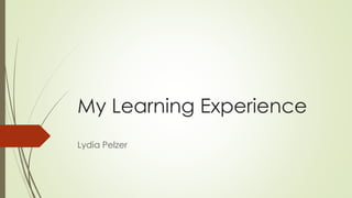 My Learning Experience
Lydia Pelzer
 