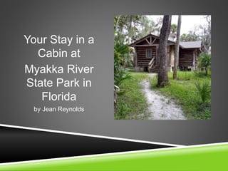 Your Stay in a
Cabin at
Myakka River
State Park in
Florida
by Jean Reynolds
 