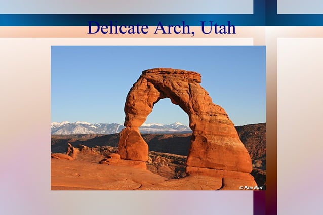 My Amatuer Slide Show | PPT