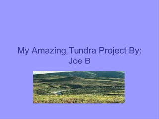 My Amazing Tundra Project By: Joe B 