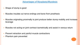 Advantages of Myoplasty/Myodesis
 Shape of stump is good
 Muscles insulate cut nerve endings and bone from prosthesis
 Muscles originating proximally to joint produce better stump mobility and increase
leverage
 Muscles not acting on joint contract isometrically and assist in venous return
 Prevent retraction and painful muscle contractions
 Phantom pain prevented
 