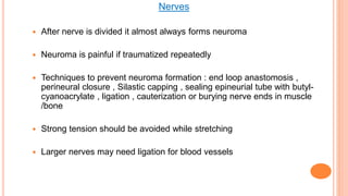Nerves
 After nerve is divided it almost always forms neuroma
 Neuroma is painful if traumatized repeatedly
 Techniques to prevent neuroma formation : end loop anastomosis ,
perineural closure , Silastic capping , sealing epineurial tube with butyl-
cyanoacrylate , ligation , cauterization or burying nerve ends in muscle
/bone
 Strong tension should be avoided while stretching
 Larger nerves may need ligation for blood vessels
 