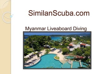 SimilanScuba.com
Myanmar Liveaboard Diving
 