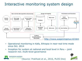Developing MRV systems for REDD+