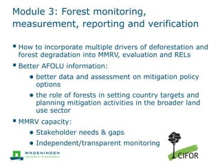 Developing MRV systems for REDD+