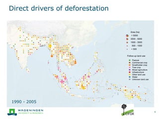 Developing MRV systems for REDD+