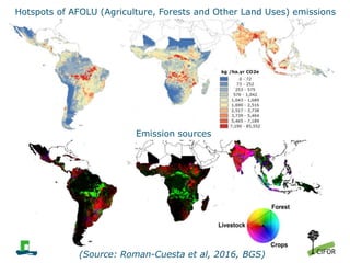 Developing MRV systems for REDD+