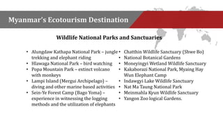 Myanmar’s Ecotourism Destination 
Wildlife National Parks and Sanctuaries 
• Alungdaw Kathapa National Park – jungle 
trekking and elephant riding 
• Hlawaga National Park – bird watching 
• Popa Mountain Park – extinct volcano 
with monkeys 
• Lampi Island (Mergui Archipelago) – 
diving and other marine based activities 
• Sein-Ye Forest Camp (Bago Yoma) – 
experience in witnessing the logging 
methods and the utilization of elephants 
• Chatthin Wildlife Sanctuary (Shwe Bo) 
• National Botanical Gardens 
• Moneyingyi Wetland Wildlife Sanctuary 
• Kakaborazi National Park, Myaing Hay 
Wun Elephant Camp 
• Indawgyi Lake Wildlife Sanctuary 
• Nat Ma Taung National Park 
• Meinmahla Kyun Wildlife Sanctuary 
• Yangon Zoo logical Gardens. 
 