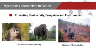 Myanmar’s Ecotourism in Action 
Protecting Biodiversity, Ecosystem and Environment 
The threat of animal poaching high rate of deforestation 
 