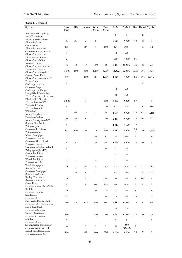 Myanmar Wet Lands Birds