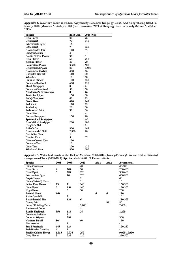 Myanmar Wet Lands Birds