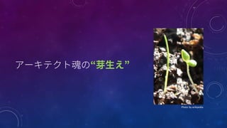 Photo	
  by	
  wikipedia
 