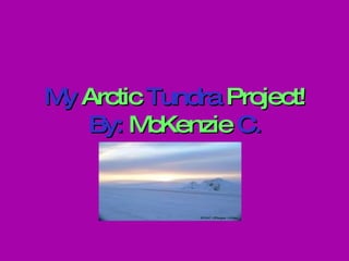My  Arctic  Tundra  Project! By:  McKenzie  C. 