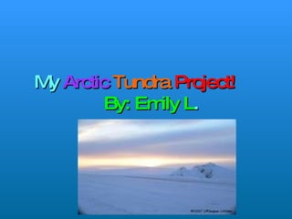 My  Arctic   Tundra   Project!   By: Emily L . 