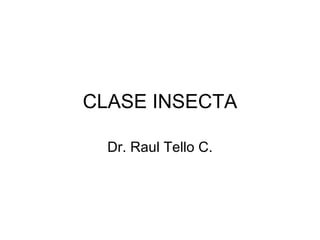 CLASE INSECTA

  Dr. Raul Tello C.
 