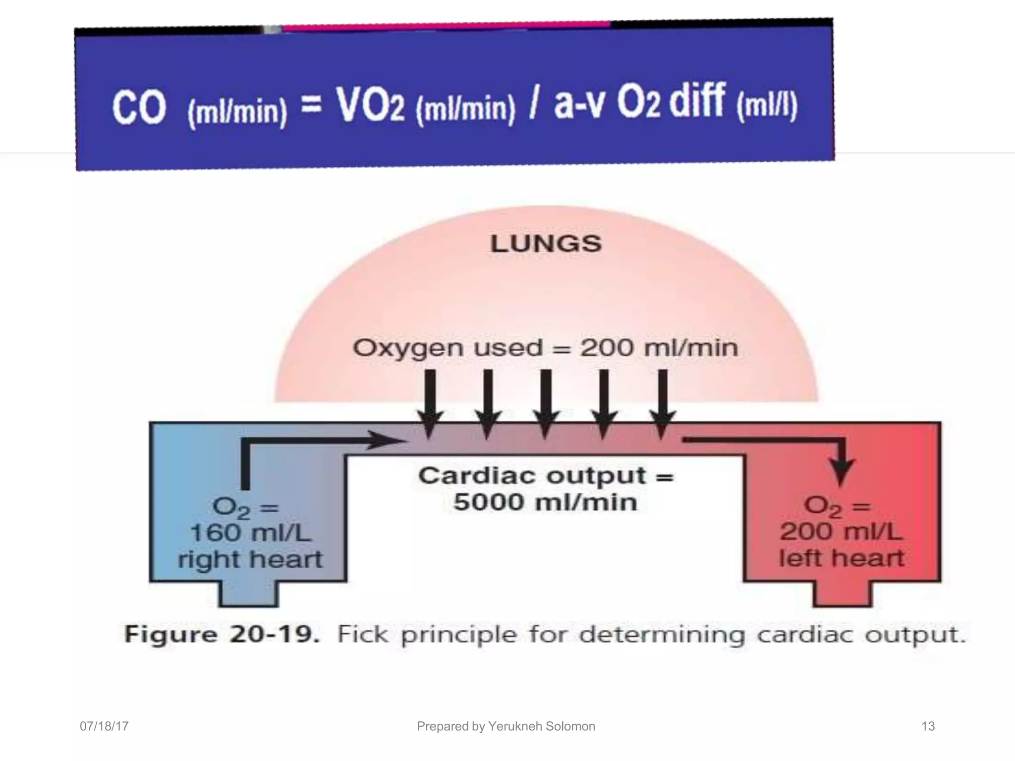 13
Prepared by Yerukneh Solomon
07/18/17
 