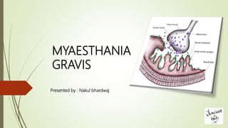 MYAESTHANIA
GRAVIS
Presented by : Nakul bhardwaj
 