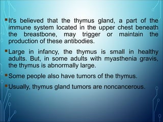 It's believed that the thymus gland, a part of the
immune system located in the upper chest beneath
the breastbone, may trigger or maintain the
production of these antibodies.
Large in infancy, the thymus is small in healthy
adults. But, in some adults with myasthenia gravis,
the thymus is abnormally large.
Some people also have tumors of the thymus.
Usually, thymus gland tumors are noncancerous.
 