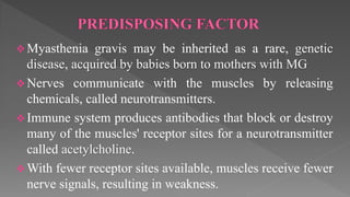  Myasthenia gravis may be inherited as a rare, genetic
disease, acquired by babies born to mothers with MG
 Nerves communicate with the muscles by releasing
chemicals, called neurotransmitters.
 Immune system produces antibodies that block or destroy
many of the muscles' receptor sites for a neurotransmitter
called acetylcholine.
 With fewer receptor sites available, muscles receive fewer
nerve signals, resulting in weakness.
 