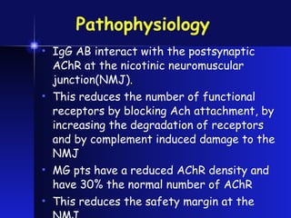 Pathophysiology  IgG AB interact with the postsynaptic AChR at the nicotinic neuromuscular junction(NMJ). This reduces the number of functional receptors by blocking Ach attachment, by increasing the degradation of receptors and by complement induced damage to the NMJ MG pts have a reduced AChR density and have 30% the normal number of AChR  This reduces the safety margin at the NMJ  