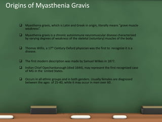 Origins of Myasthenia Gravis
 Myasthenia gravis, which is Latin and Greek in origin, literally means "grave muscle
weakness”.
 Myasthenia gravis is a chronic autoimmune neuromuscular disease characterized
by varying degrees of weakness of the skeletal (voluntary) muscles of the body.
 Thomas Willis, a 17th Century Oxford physician was the first to recognize it is a
disease.
 The first modern description was made by Samuel Wilkes in 1877.
 Indian Chief Opechankanough (died 1644), may represent the first recognized case
of MG in the United States.
 Occurs in all ethnic groups and in both genders. Usually females are diagnosed
between the ages of 25-40, while it may occur in men over 60.
 