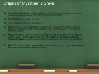 Origins of Myasthenia Gravis
 Neonatal myasthenia , given to the child via mother’s immune antibodies, is temporary
with symptoms disappearing within the first two to three months.
 Myasthenia rarely occurs in juveniles.
 It is not directly inherited or contagious
 Children may show signs of congenital myasthenia or congenital myasthenic syndrome.
These are not autoimmune disorders, but are caused by defective genes that produce
abnormal proteins.
 Myasthenia gravis can be classified according to which skeletal muscles are affected.
Within a year of onset, approximately 85–90% of patients develop generalized
myasthenia gravis, which is characterized by weakness in the trunk, arms, and legs.
 About 10–15% of patients have weakness only in muscles that control eye movement.
This type is called ocular myasthenia gravis.
 