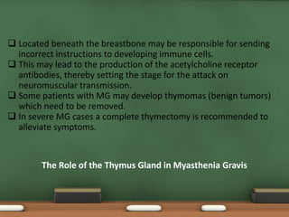 The Role of the Thymus Gland in Myasthenia Gravis
 Located beneath the breastbone may be responsible for sending
incorrect instructions to developing immune cells.
 This may lead to the production of the acetylcholine receptor
antibodies, thereby setting the stage for the attack on
neuromuscular transmission.
 Some patients with MG may develop thymomas (benign tumors)
which need to be removed.
 In severe MG cases a complete thymectomy is recommended to
alleviate symptoms.
 